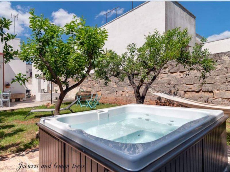 PISCINA JACUZZI NEL GIARDINO