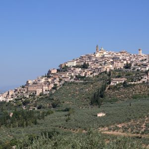 torre mozza