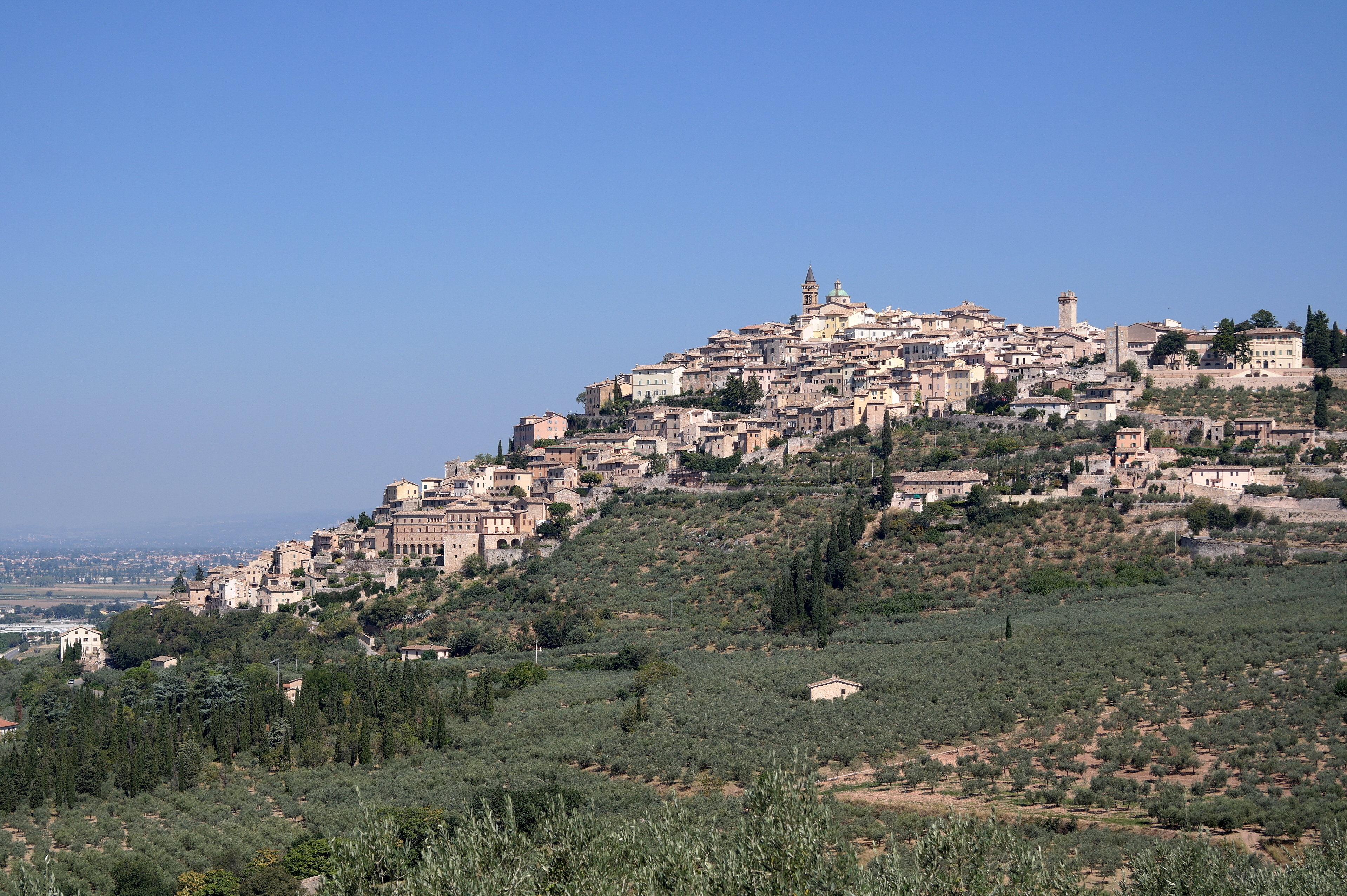 torre mozza